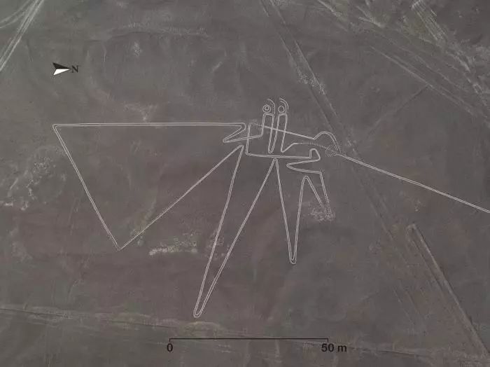 教育部回应8所中医大学被除名,教育部回应8所中医药大学被除名