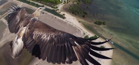 无人机怪异视频,无人机拍到的怪异视频