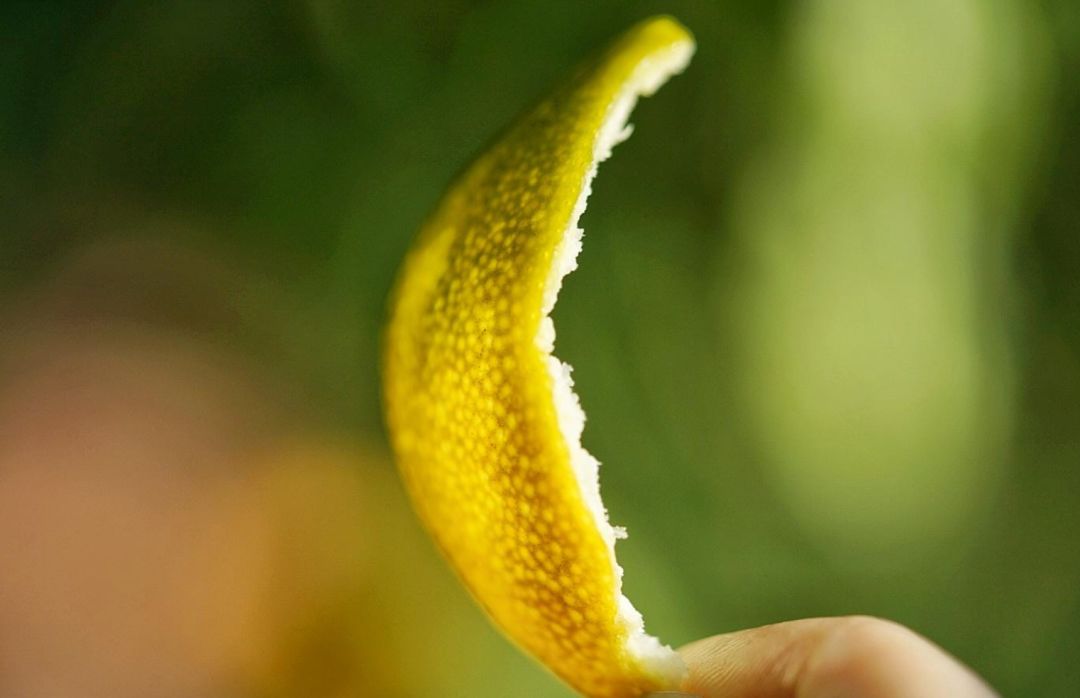 认识下广东人从小吃到大的宝藏水果，像冬季里清甜的山泉