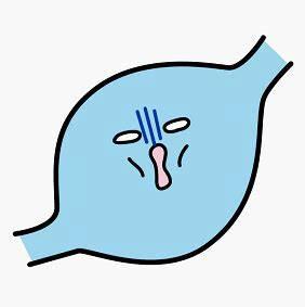 流量小花综艺首谈婚恋观，拼命奋斗竟是为攒嫁妆钱？