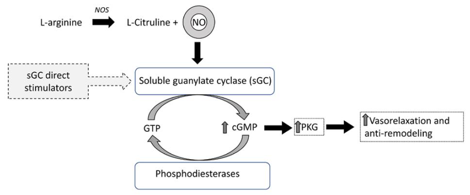 常用抗高血压药物分类及代表药,6种抗高血压药物