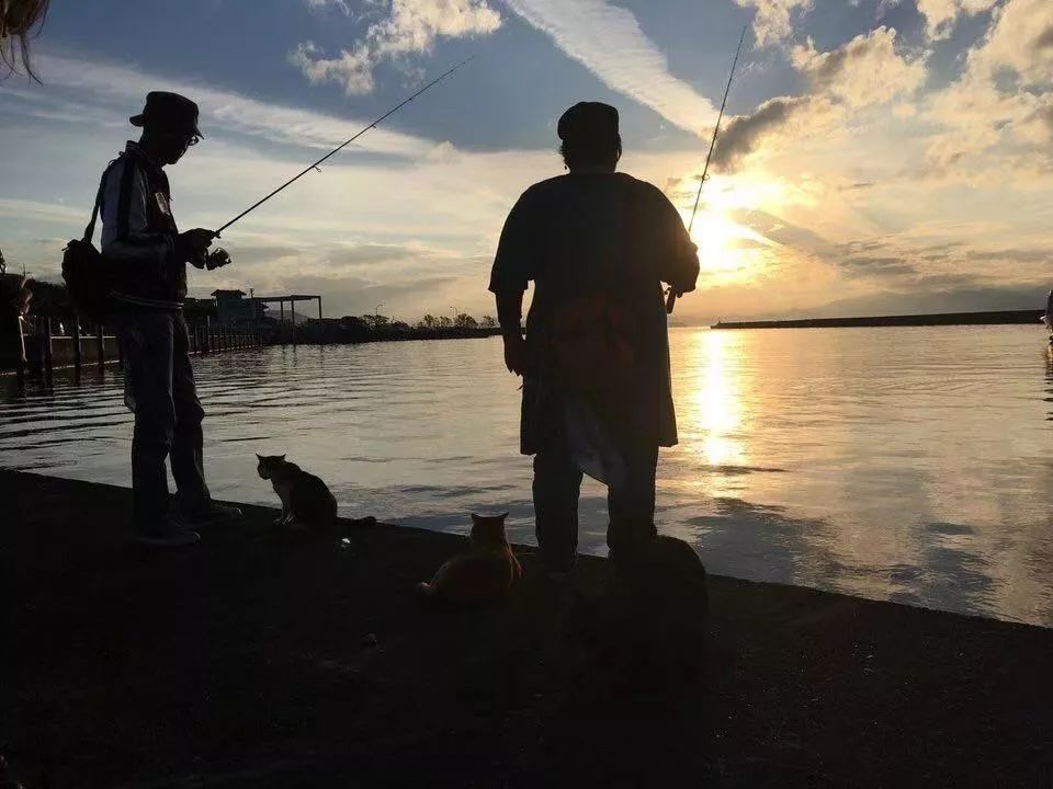 省钱又实用的日本“红叶狩”攻略错过又要等一年|用耳朵旅行的财经主播Nina