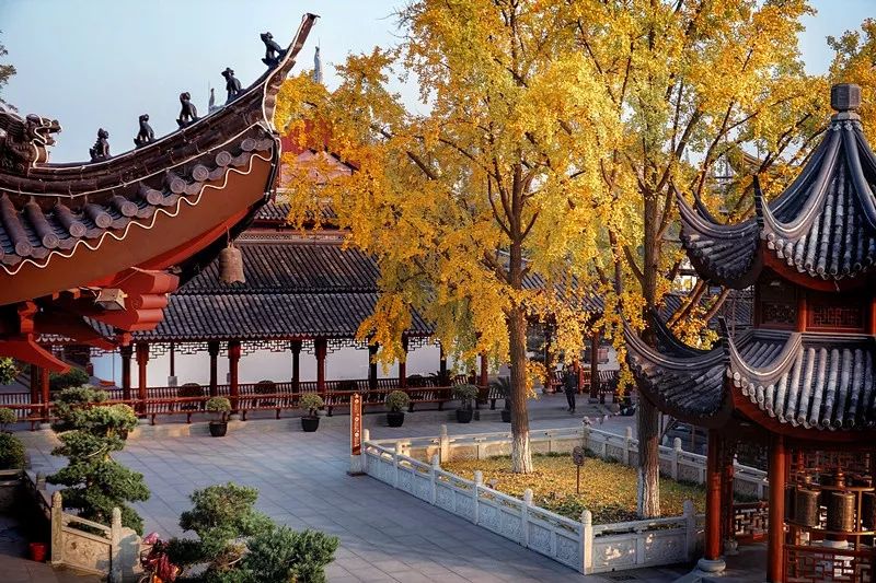 上海必打卡秋季美景,上海的秋季美景