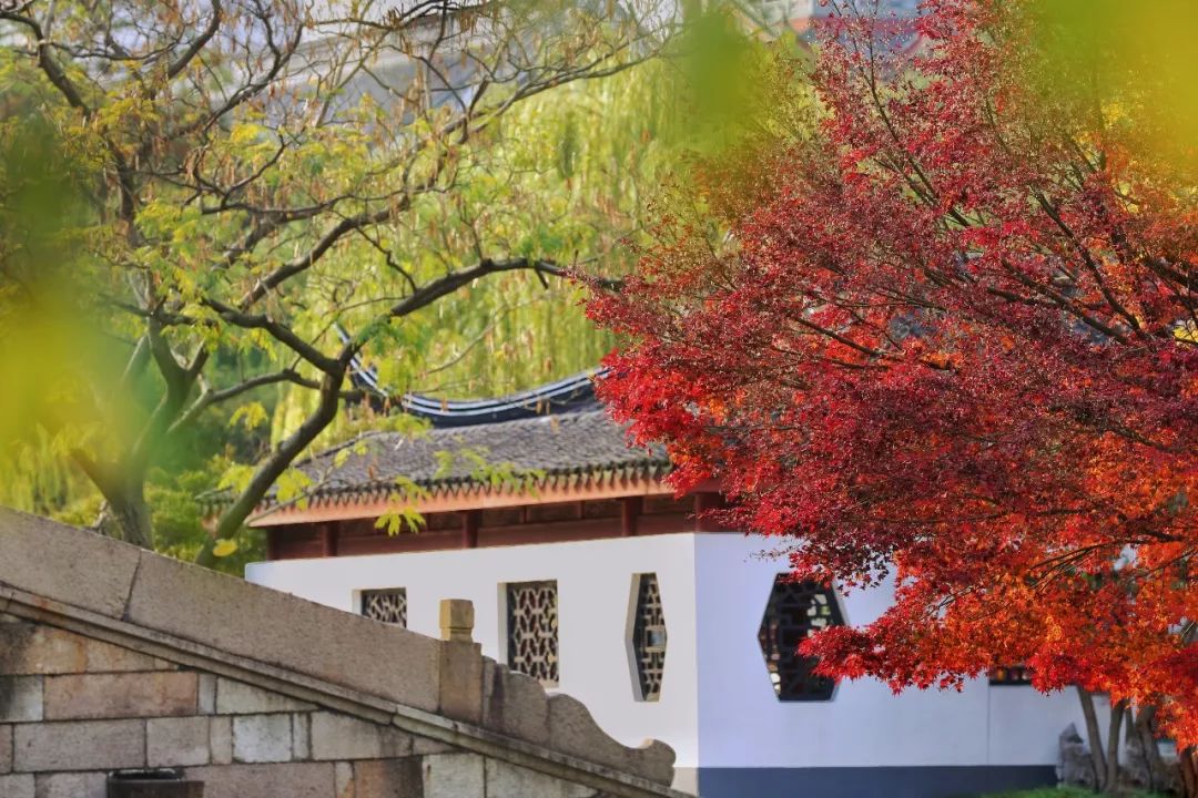 上海必打卡秋季美景,上海的秋季美景