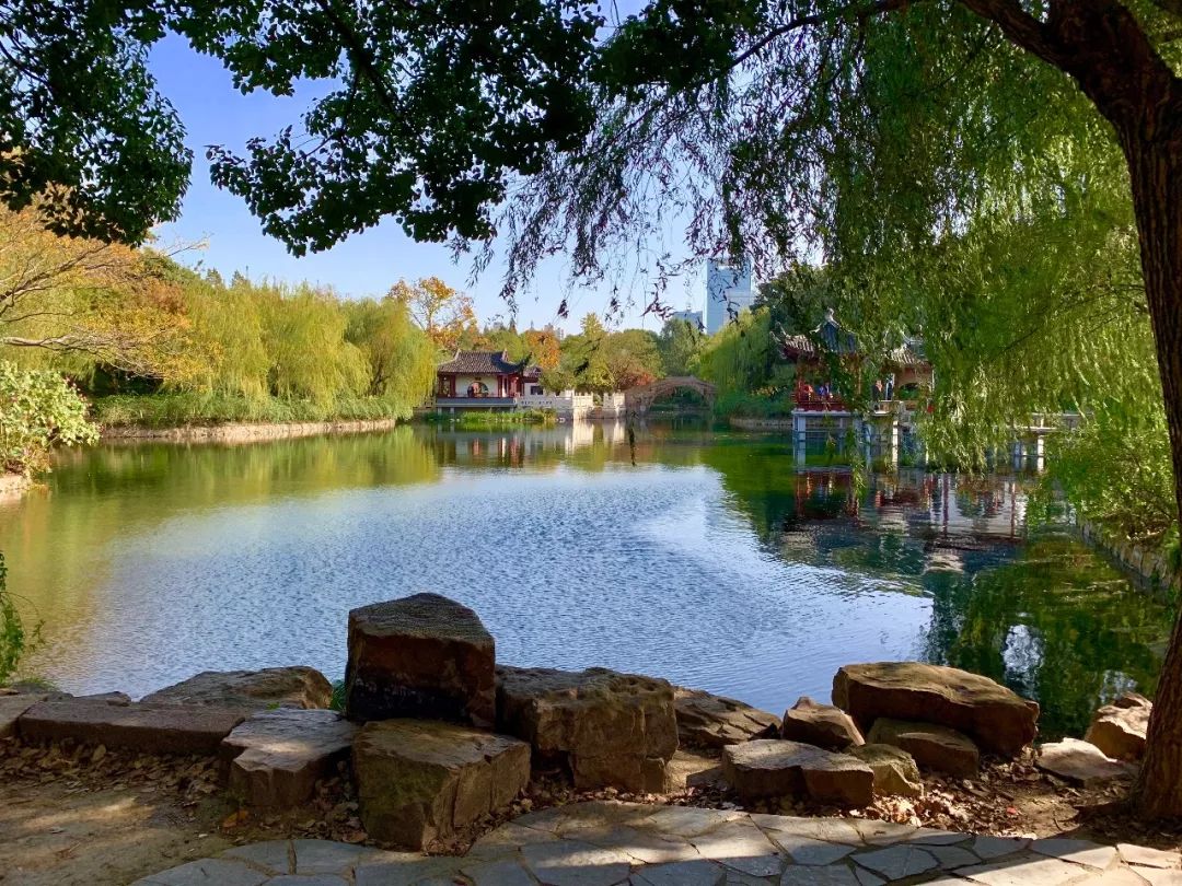 上海必打卡秋季美景,上海的秋季美景