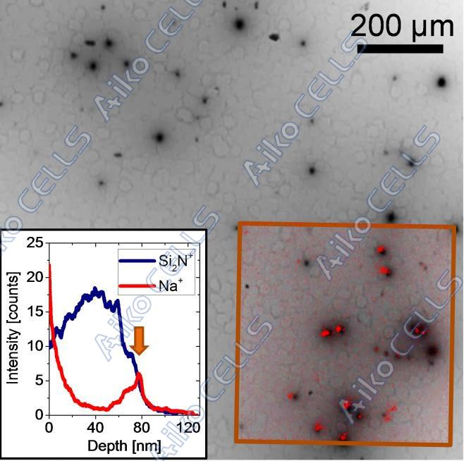 爱旭科技首创双面PERC电池PIDFREE解决方案