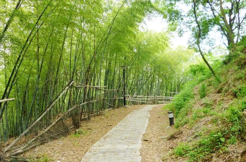 爬山推荐哪座山北仑,爬完桐庐所有的山