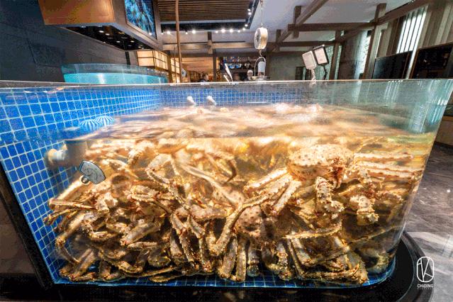 新店68折！杭州竟有餐厅公然把“浴缸”搬上桌，甚至为顾客准备了婚纱