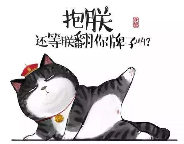 猫空中转体的动力学,猫空中转身的力学原理