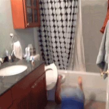 猫空中转体的动力学,猫空中转身的力学原理