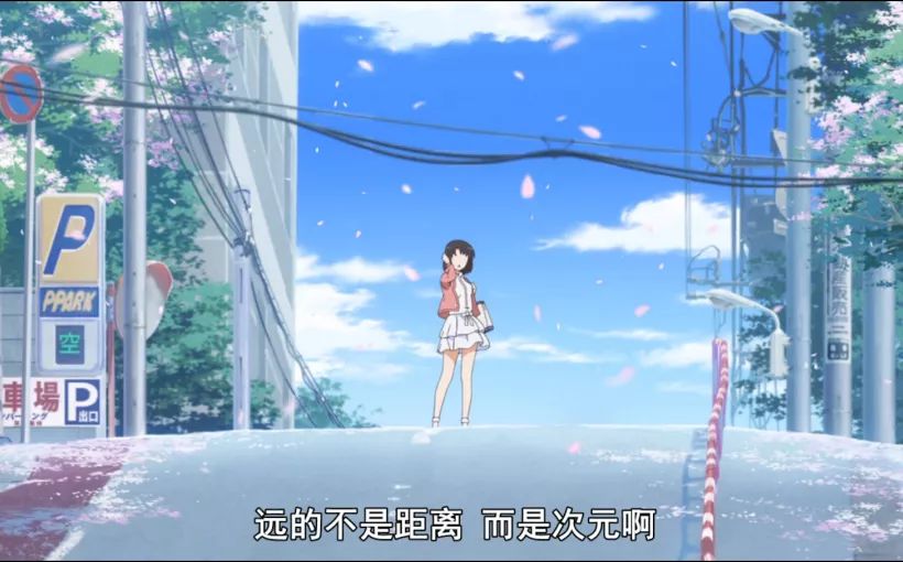 猫空中转体的动力学,猫空中转身的力学原理