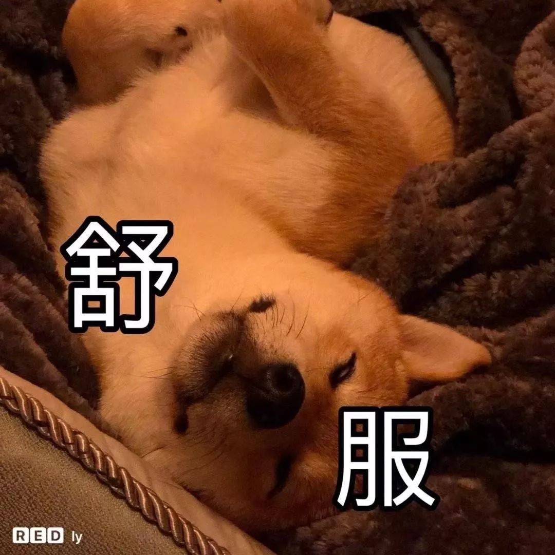 自从用了它，我抛弃了祖传的微信截图