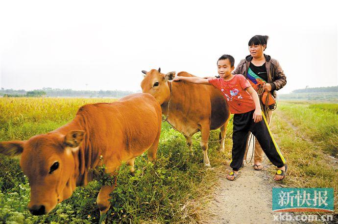 脱贫劳动力致富增收典型案例,决战决胜脱贫攻坚荒山坡变致富田