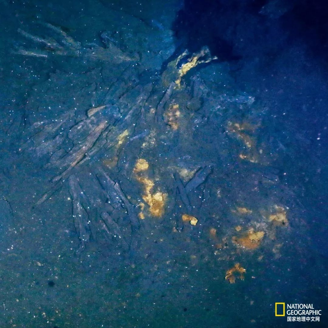 外星生物会长什么样子,外星生物真的存在吗