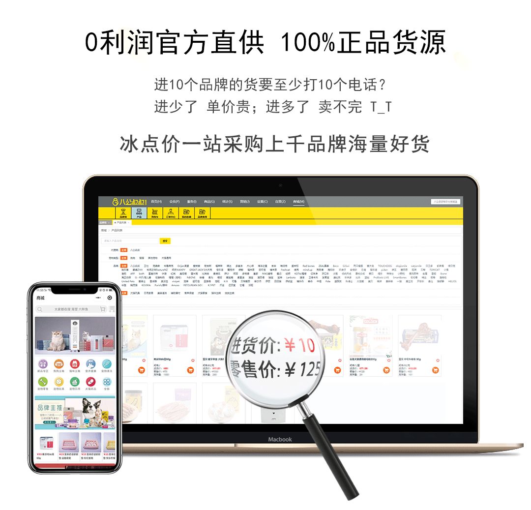 新手开宠物店需要了解哪些知识呢,解析新手开宠物店的流程及条件