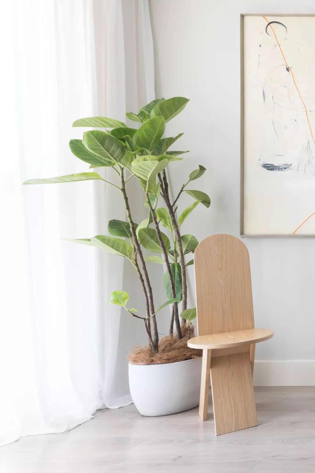 植物杀手们有救了，药到病除！|文末福利