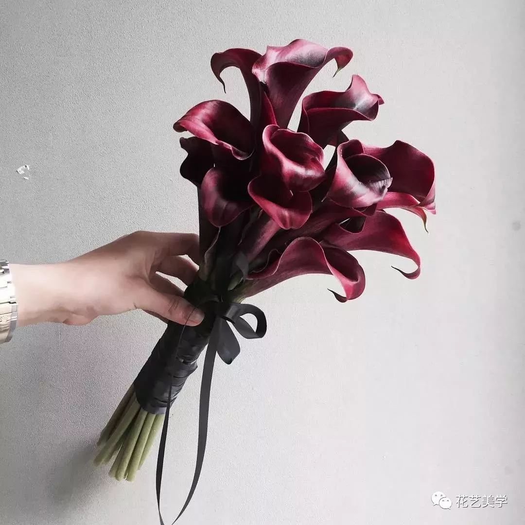 马蹄莲最普通品种开什么颜色花,花卉马蹄莲是什么样的