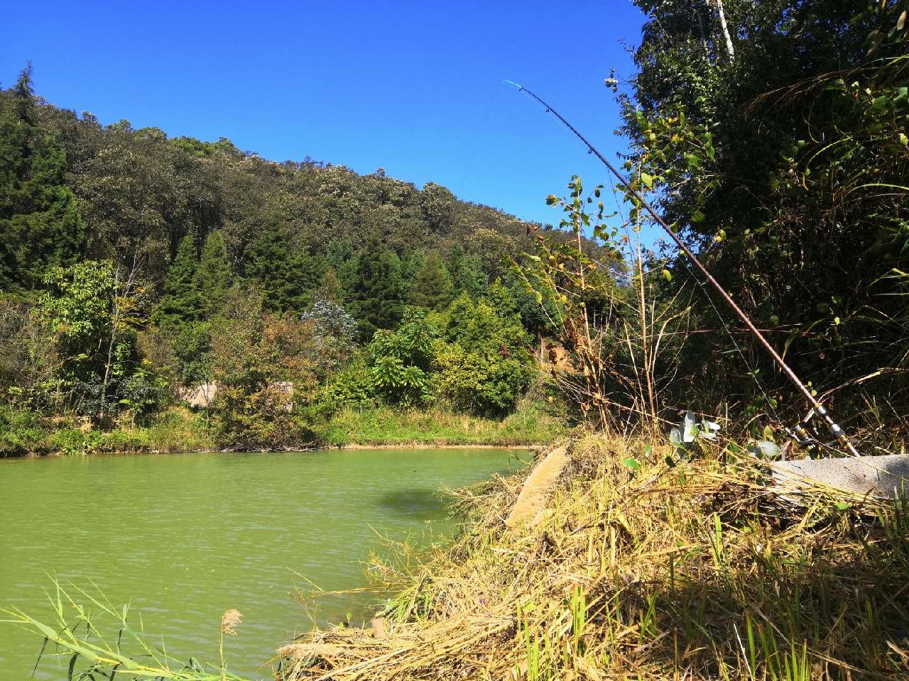 野钓桥边钓点,野钓探寻钓位