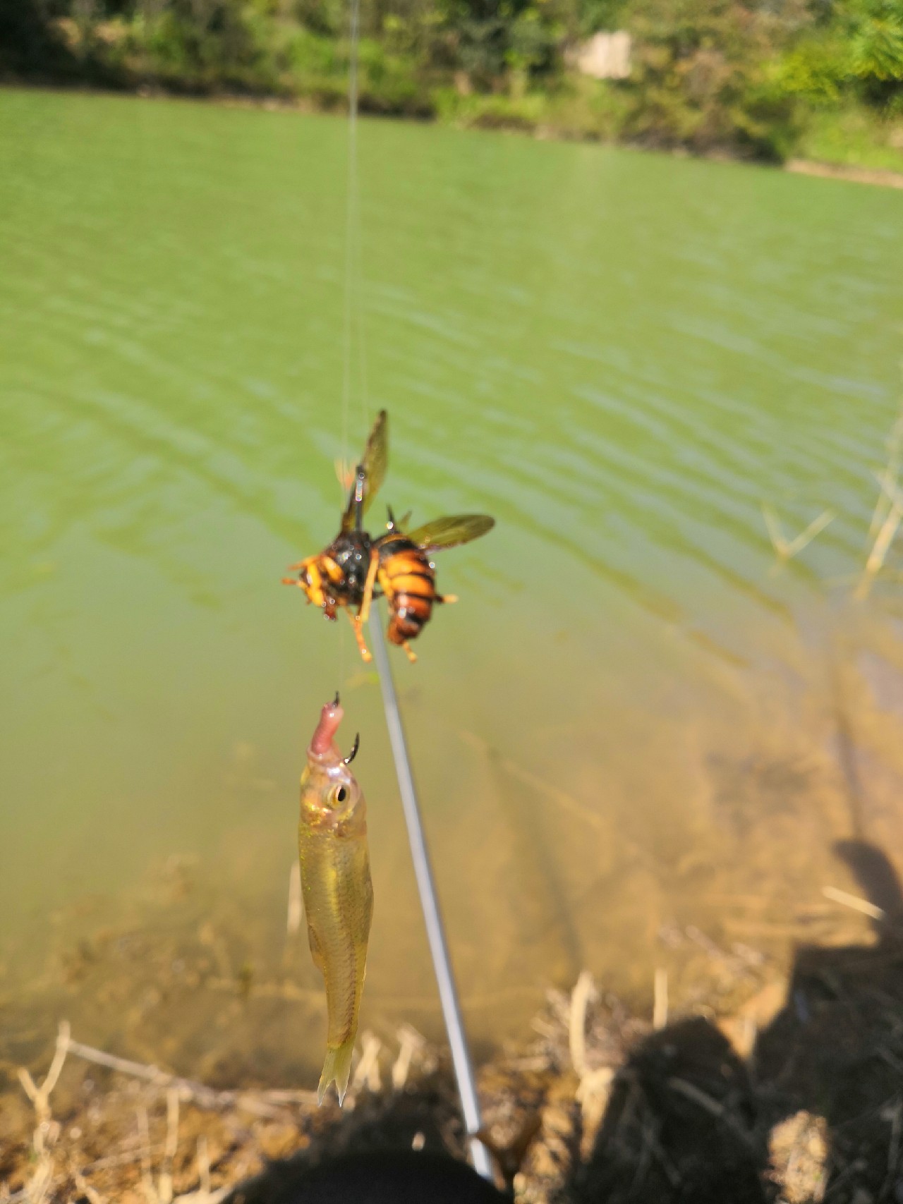 野钓桥边钓点,野钓探寻钓位