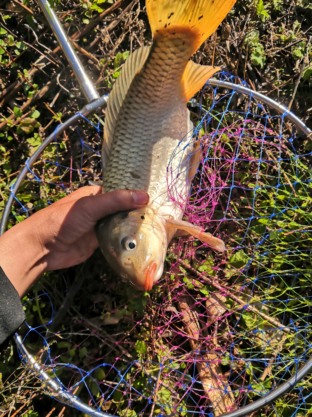 野钓桥边钓点,野钓探寻钓位