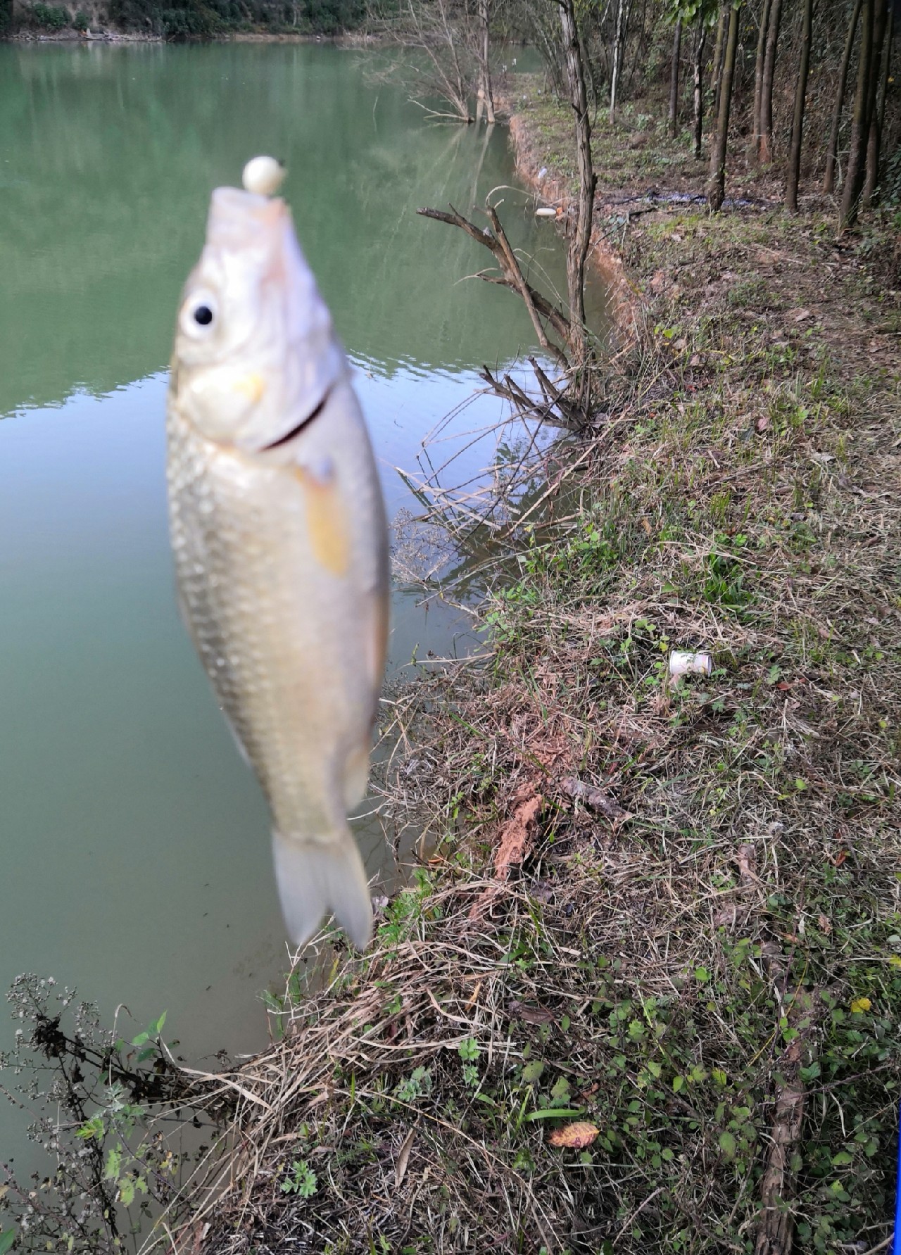 野钓桥边钓点,野钓探寻钓位