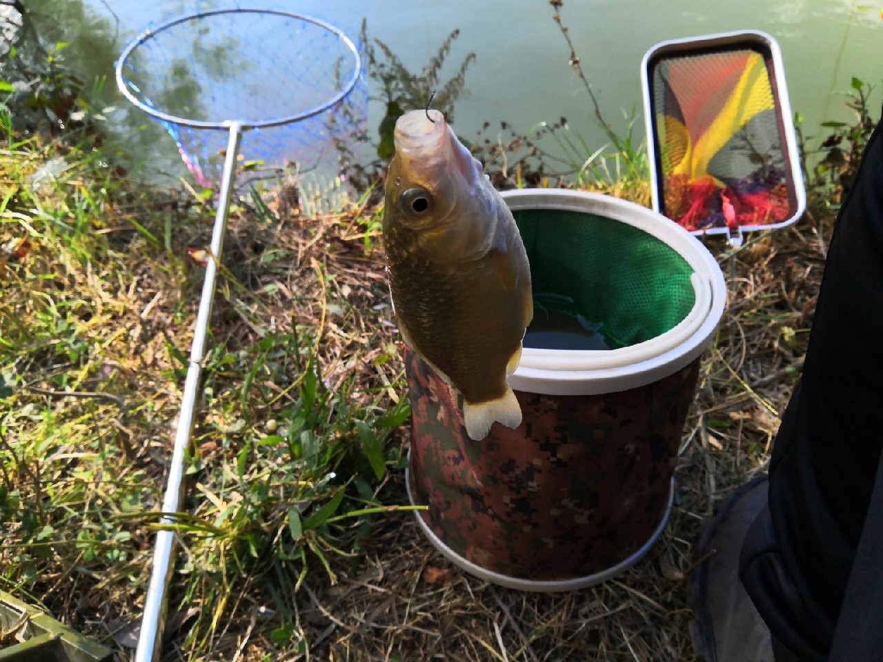 野钓桥边钓点,野钓探寻钓位