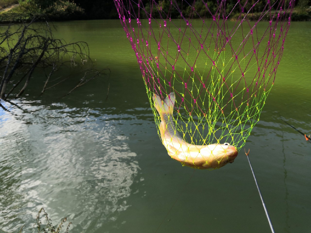 野钓桥边钓点,野钓探寻钓位