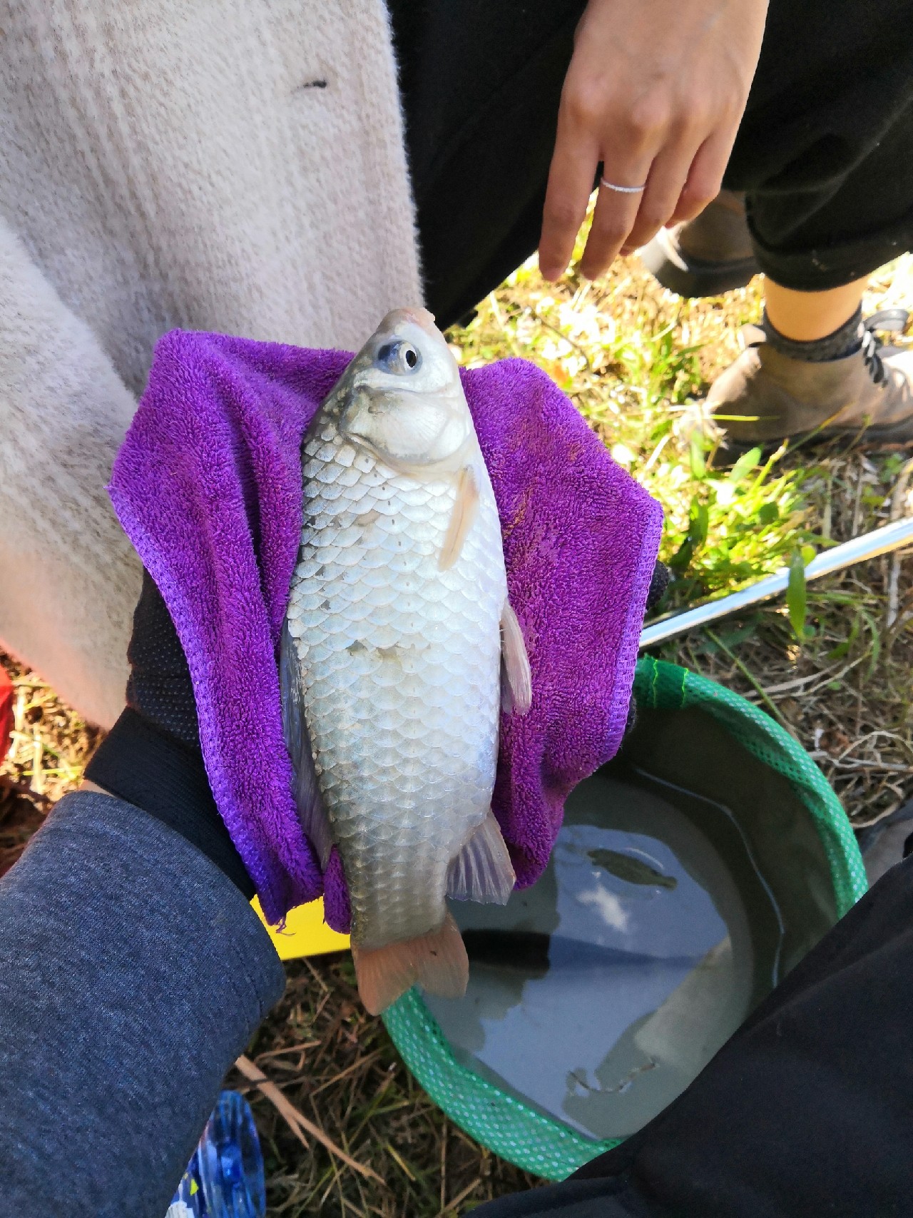 野钓桥边钓点,野钓探寻钓位