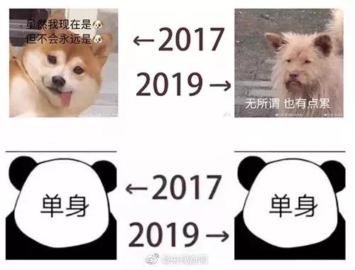 2017→2019流行语句句戳心，英文版超全整顿来啦