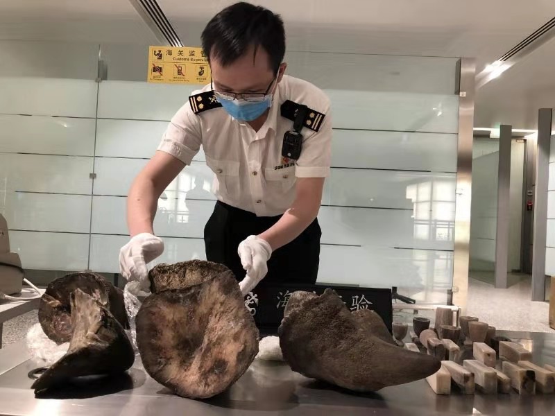 香港海关查获犀牛角,2019上海海关走私犀牛角被判几年