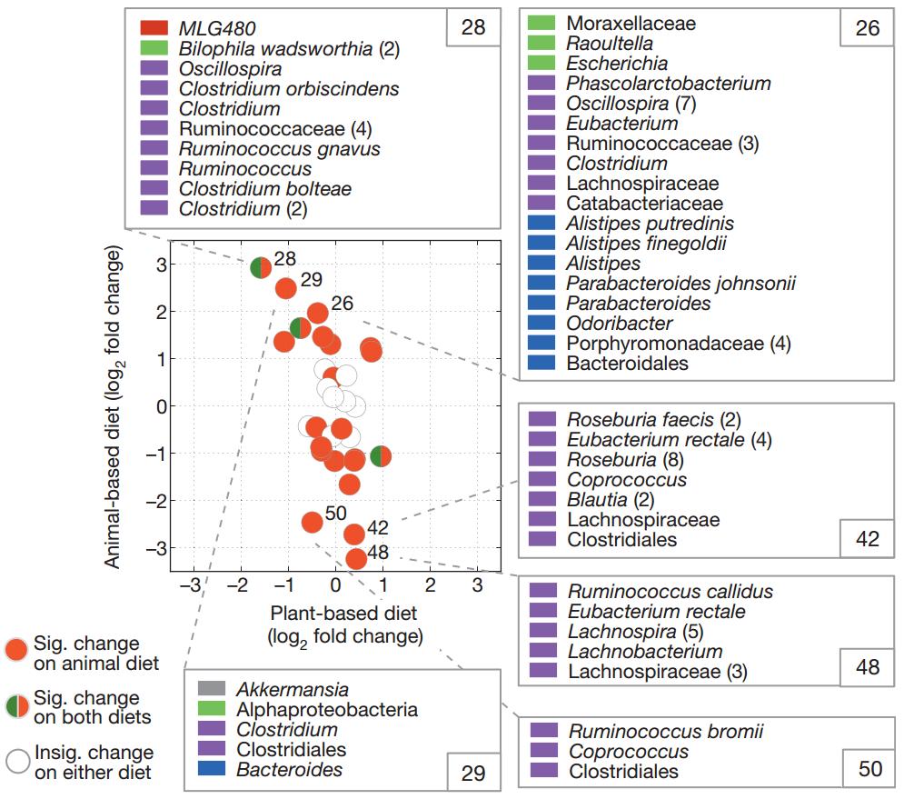 肠道菌群影响饮食文章,饮食与肠道菌群唇齿相依