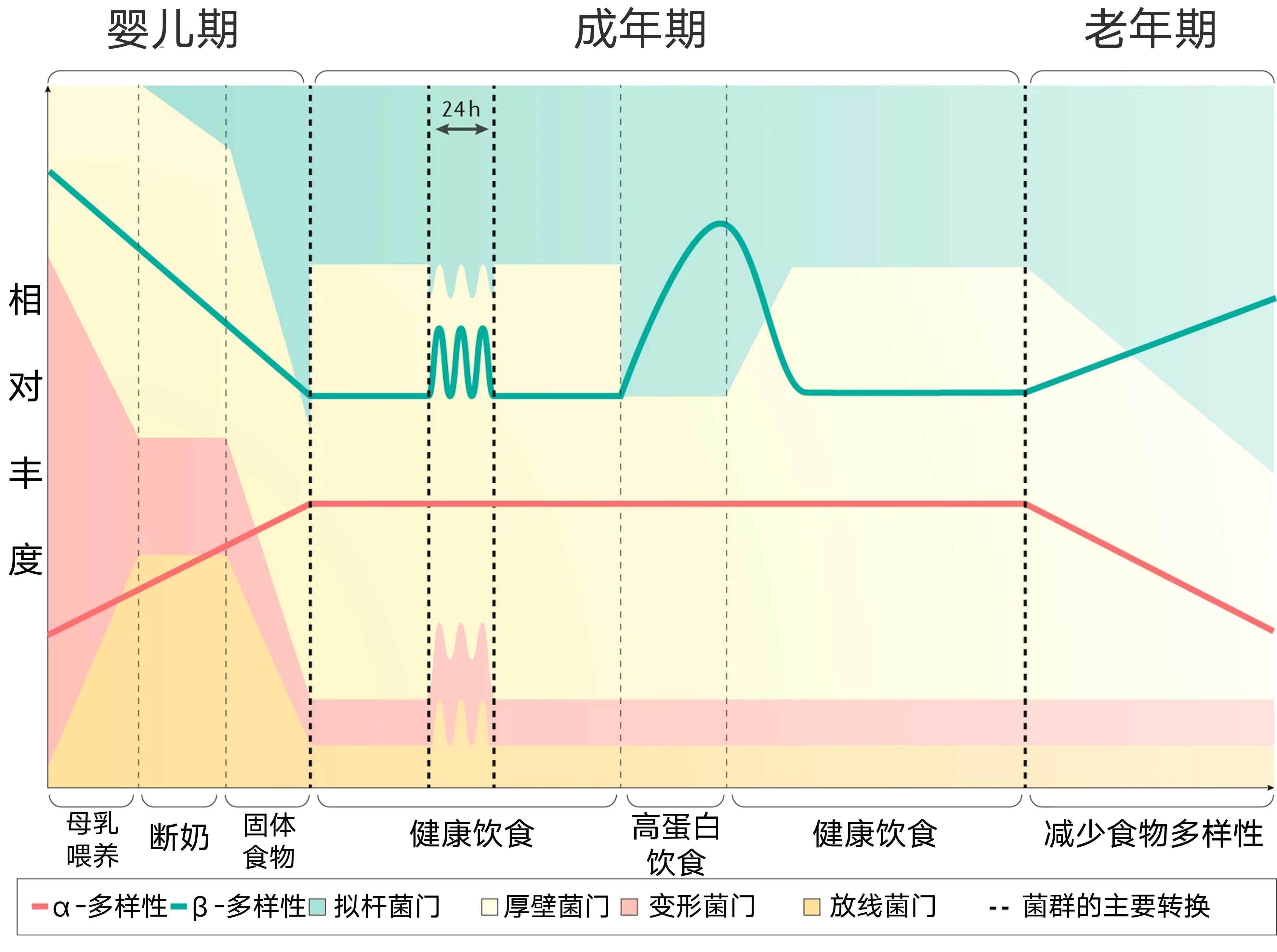 肠道菌群影响饮食文章,饮食与肠道菌群唇齿相依