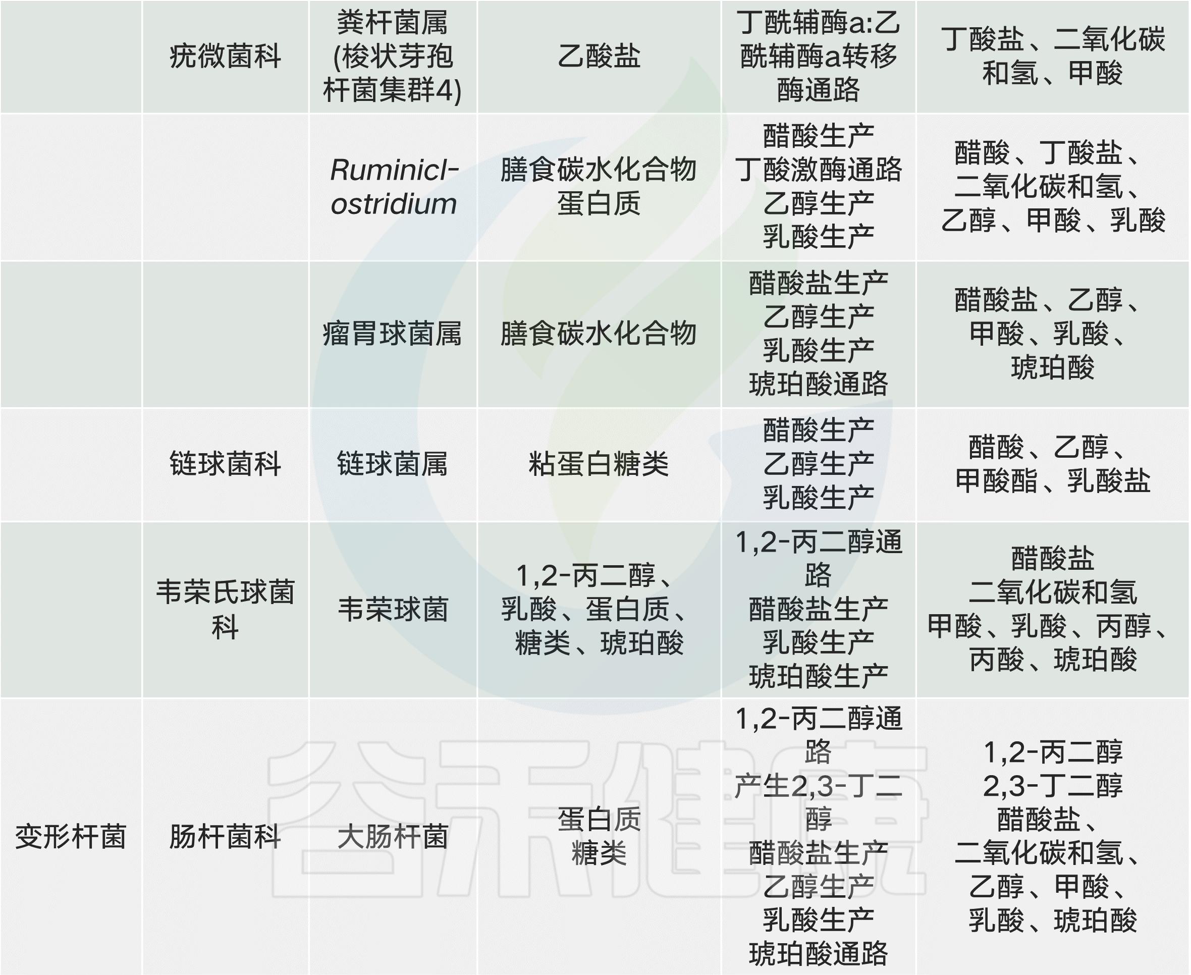 肠道菌群影响饮食文章,饮食与肠道菌群唇齿相依