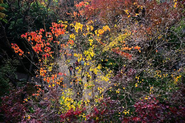 无锡惠山古镇旅游攻略,周末游无锡之惠山古镇攻略路线