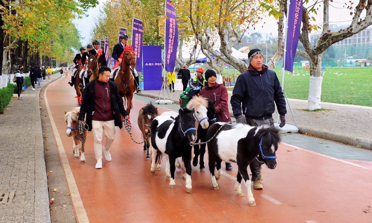 踏马滇池百万名马乘骑等你来体验