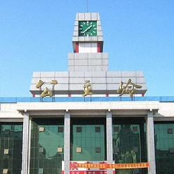 东北最值钱药材有哪些,东北名贵的药材