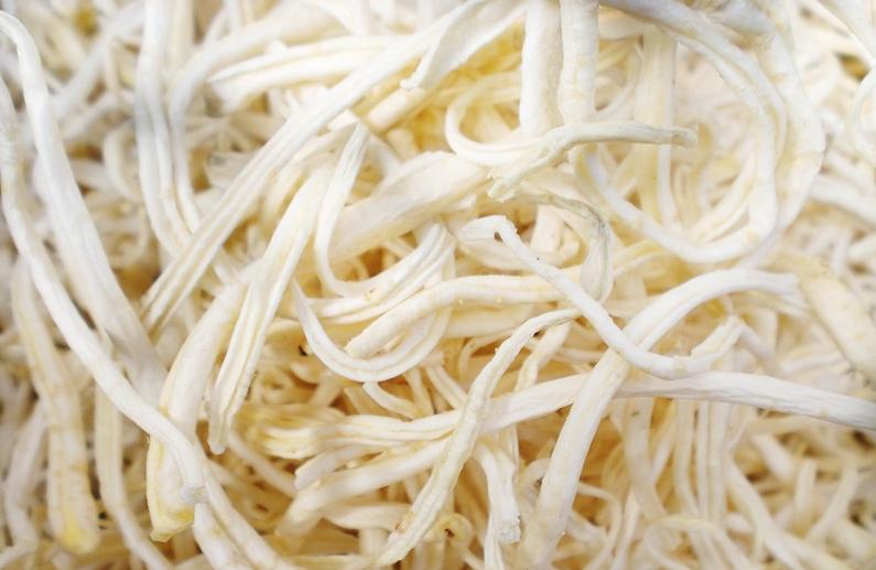 东北最值钱药材有哪些,东北名贵的药材