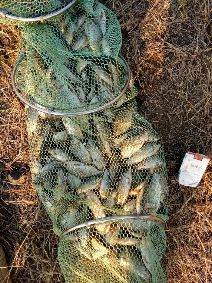 野钓入门装备清单大全,野钓买什么装备才算合格的钓友