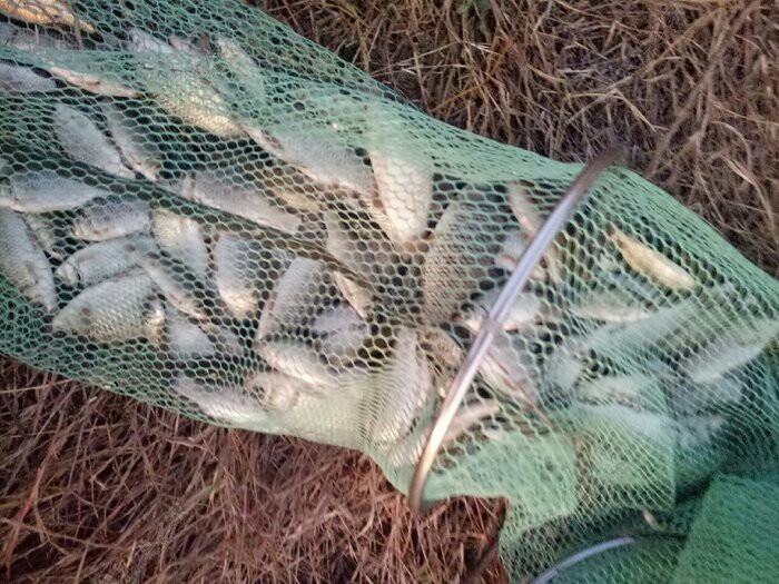 野钓入门装备清单大全,野钓买什么装备才算合格的钓友