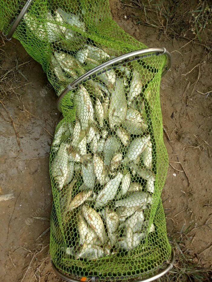 野钓入门装备清单大全,野钓买什么装备才算合格的钓友