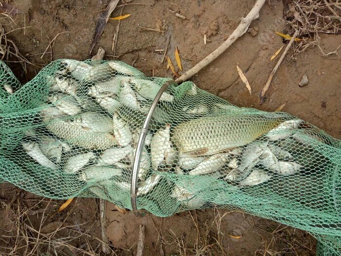 野钓入门装备清单大全,野钓买什么装备才算合格的钓友