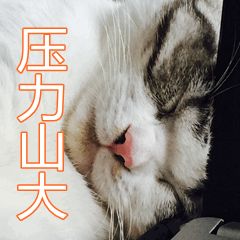 深圳发布寒冷红色预警,寒潮预警升级深圳