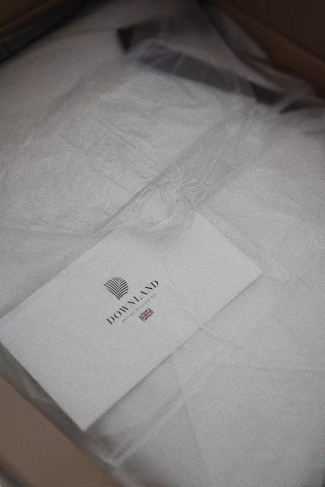 HomewithSS|我也想睡在云上呀