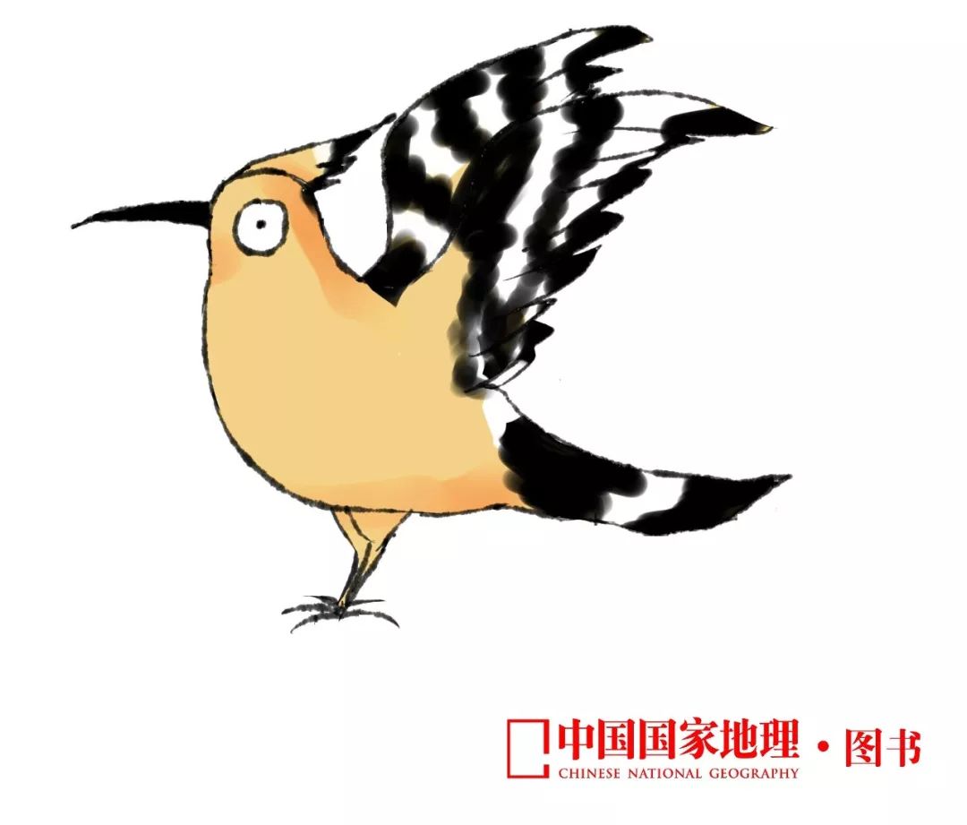 朋友，我看你与鸟类学有缘