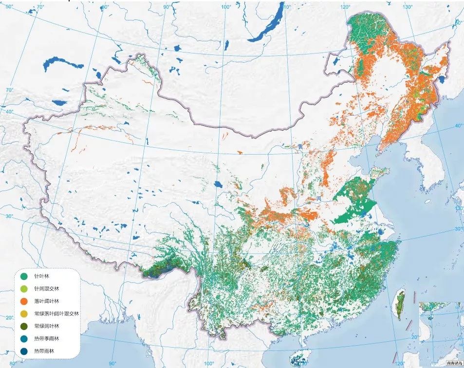 朋友，我看你与鸟类学有缘
