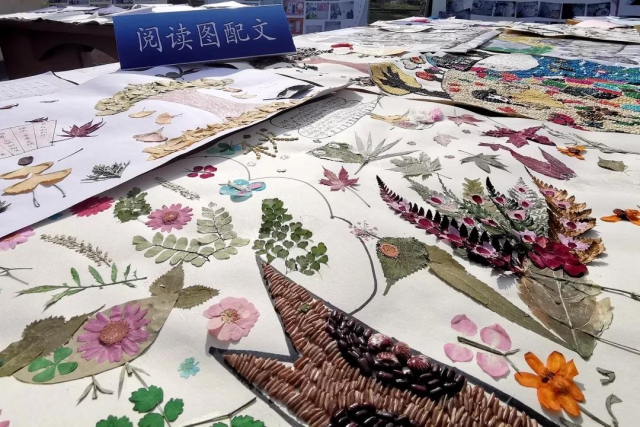 小学课外作业练习册,小学有什么很好的练习题册