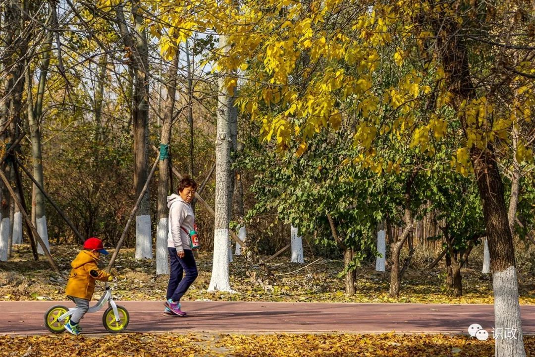 蔡奇第五次现场调研推进最大城市“绿肺”，叮嘱确保示范区明年“五一”开园