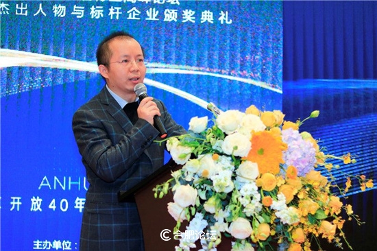 合肥瑞俪宜家家居股份有限公司董事长杨永强获“2018中国安徽家居优秀人物”奖项