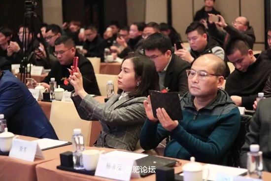 合肥瑞俪宜家家居股份有限公司董事长杨永强获“2018中国安徽家居优秀人物”奖项