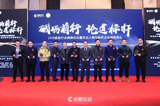 合肥瑞俪宜家家居股份有限公司董事长杨永强获“2018中国安徽家居优秀人物”奖项